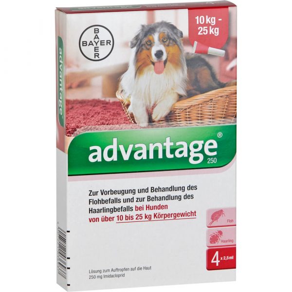 ADVANTAGE 250 Lösung für Hunde 10-25 kg