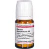 CALCIUM PHOSPHORICUM D 6 Tabletten